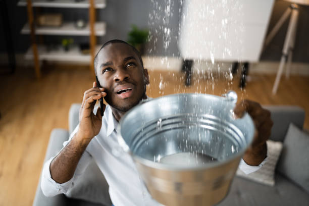 Best Ceiling water damage repair  in Ly Lake, IL