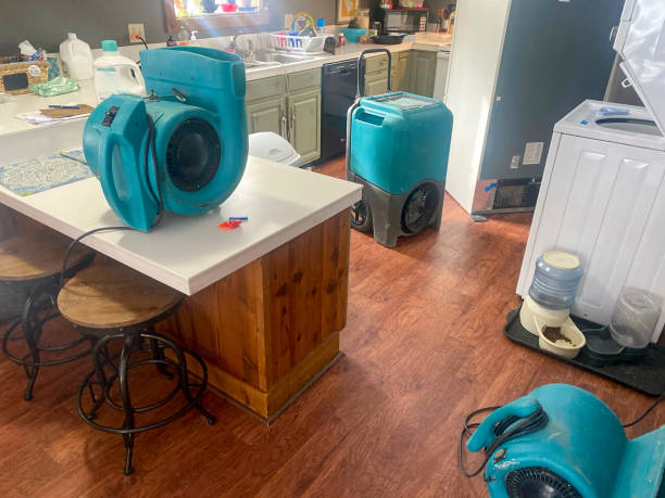 Best Sewage cleanup and water damage restoration  in Ly Lake, IL