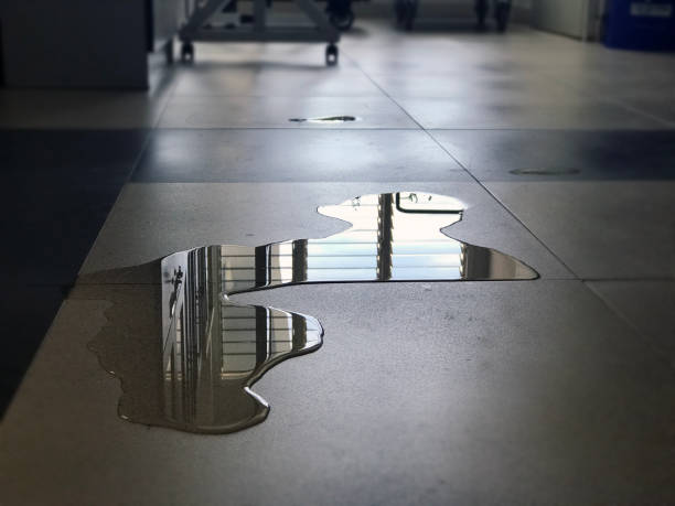 Best Emergency water damage restoration  in Ly Lake, IL