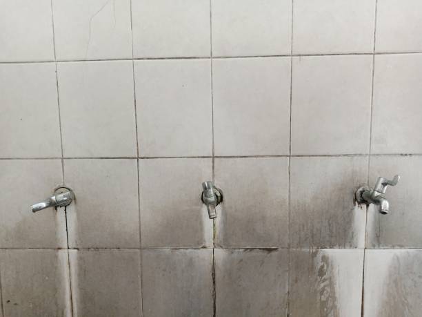 Best Commercial water damage restoration  in Ly Lake, IL
